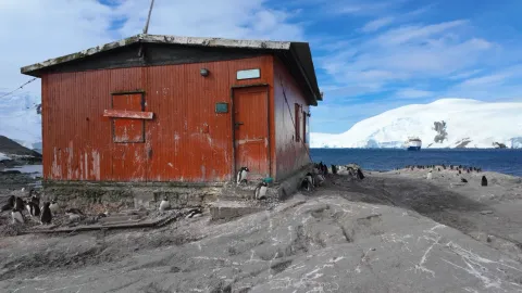 A red hut surrounded by penguins, with a ship and snowy mountains behind.