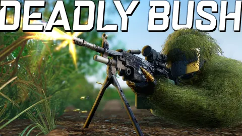 16 deadly bush